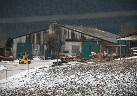 Ce pedeapsă a primit fermierul german care a ținut un muncitor român ca un sclav, legat cu lanțuri, în pivniță, timp de mai multe săptămâni