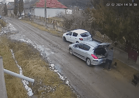 Bărbatul filmat când abandona trei pui de câine pe o stradă din localitatea clujeană Aghireş a fost găsit și amendat cu 4.000 de lei