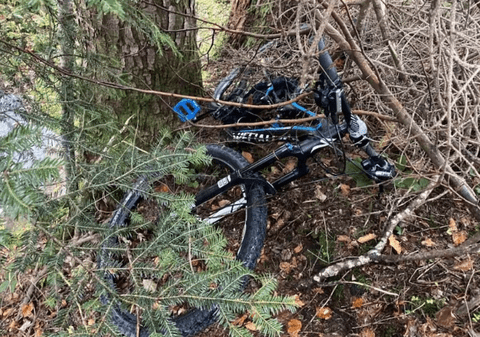 Români prinși cu biciclete furate de peste 45.000 de euro, în Elveția. Ce i-a dat de gol