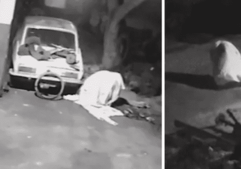 „Nu mi-a venit să cred când am văzut imaginile”. Momentul în care o „fantomă” fură un hidrofor de la o firmă de piese auto, în Brazilia | VIDEO