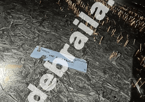 Inscripții în alfabetul chirilic, descoperite pe resturile dronei căzute în Insula Mare a Brăilei. Noi imagini de la locul prăbușirii