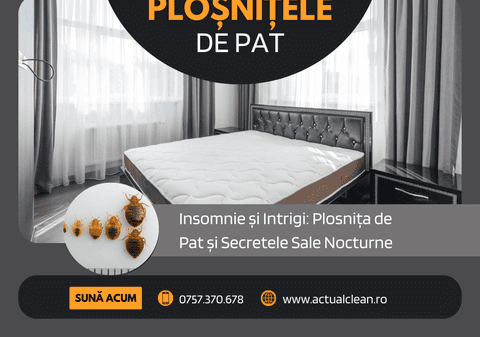 Dezinsecție Ploșnițe de Pat -  Scapă definitiv cu Actual Clean 