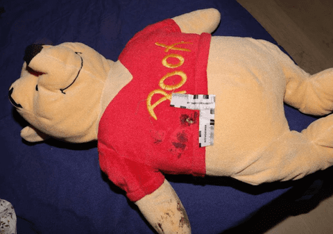 Cum a salvat ursulețul Winnie the Pooh viața unei fetițe de 2 ani, în timpul unui atac armat, în Suedia