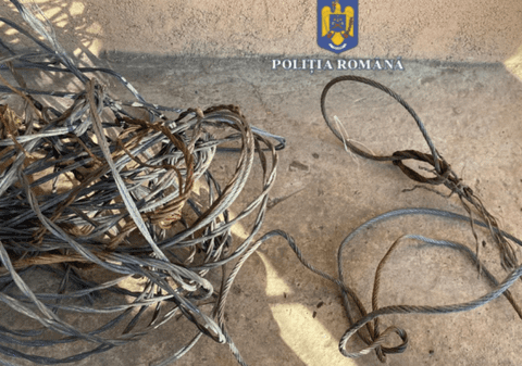 Braconier din Galați, vizat de percheziții. Au fost găsite capcane, muniție și substanțe toxice