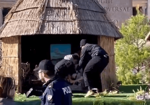 O femeie topless a încercat să fure o figurină a lui Iisus în Vatican. A fost imobilizată de polițiști | VIDEO