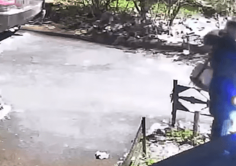 „Grinch” a fost surprins în acțiune, în județul Cluj. A furat instalațiile luminoase din mai mulți brazi | VIDEO