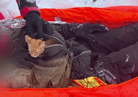 Povestea ucraineanului și a pisoiului Piersicuță care au rezistat opt zile în viscol, pe munte