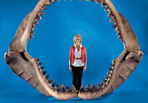 Megalodonii erau mai mari decât se credea, aveau pui uriași și un aspect unic