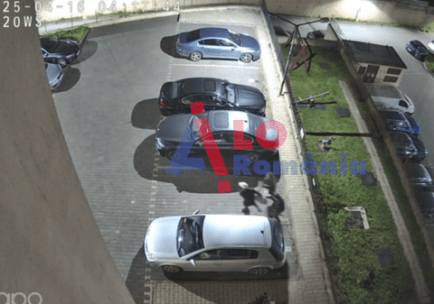 Tineri din Iași, filmați când vânează doi pui de căprioară pe străzile din oraș I VIDEO