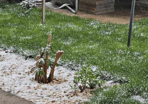 Iarna revine în forță în România. La București și în multe alte localități din țară a nins puternic