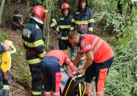 Un bărbat a murit strivit de un copac într-o pădure din Poiana Teiului, Neamț