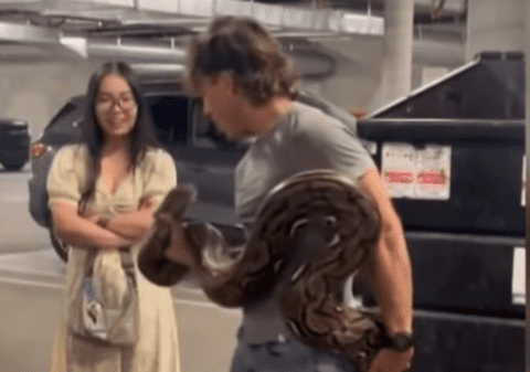 Piton de 6 metri bolnav, capturat într-un container de gunoi, în Los Angeles. Boala de care suferă