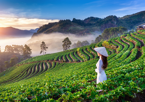 Circuit în Vietnam, Cambodgia și Thailanda: Aventură completă în inima Indochinei