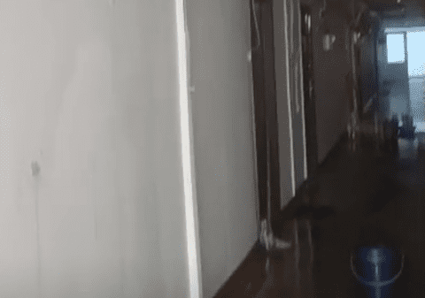 Zeci de apartamente din Galați au fost inundate într-un bloc recent reabilitat. „Nu s-au gândit că vin ploile?”