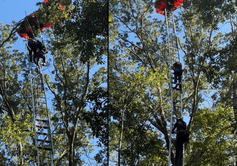 Un instructor de parașutism a murit în timpul unui salt în tandem, după ce a căzut în gol: cum a reușit studentul rămas singur să se salveze