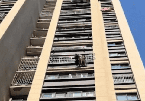 Un bătrân a căzut de la etajul 15, dar un obiect banal i-a salvat viața în mod incredibil