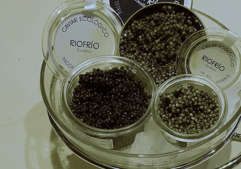 O țară din Europa produce „primul caviar organic” și îl vinde cu 8.000 de euro/kg: „Doar din icre de sturion și sare. Nu există aditivi”