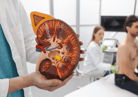 1,5 milioane de români sunt victimele „ucigașului tăcut”, boala care se poate anticipa cu o simplă analiză de sânge