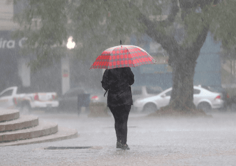 Ciclonul mediteranean lovește România: ANM anunță ploi, ninsori și vijelii în mai bine de jumătate de țară, până sâmbătă