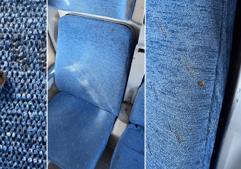 Invazie de ploșnițe în trenul Timișoara-Arad: Vagon „personal” retras de urgență pentru dezinsecție după sesizările pasagerilor