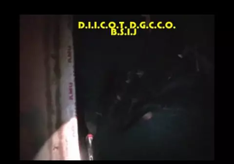 EXCLUSIV. Argeșul nu este capitala ororilor! Topul județelor în care românii sunt traficați și exploatați ca în Evul Mediu