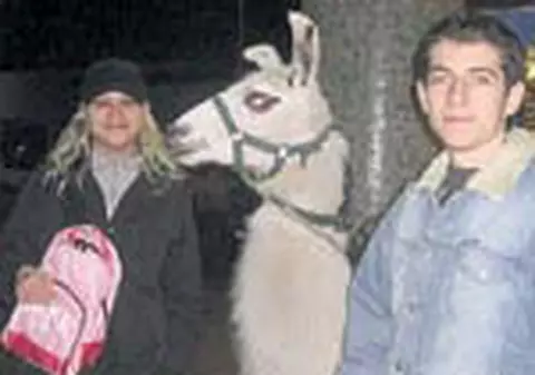 Trupa Datina a facut o cura de bere in Germania