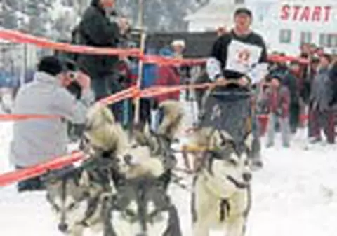 Sanii trase de caini in Romania