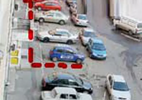 Maidanezul l-a ucis pe japonez!