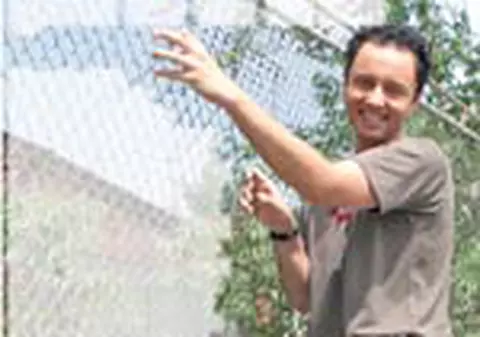 Maruta, urcat pe gard de un caine