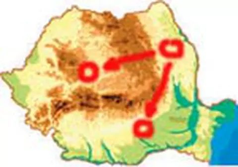 Patru vieti salvate de o femeie in coma