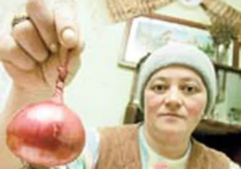 'Ghiceste' vremea in foi de ceapa rosie