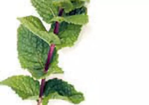 Vindeca-te cu ajutorul plantelor!