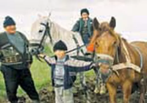 Cum sa va faceti ferma de melci