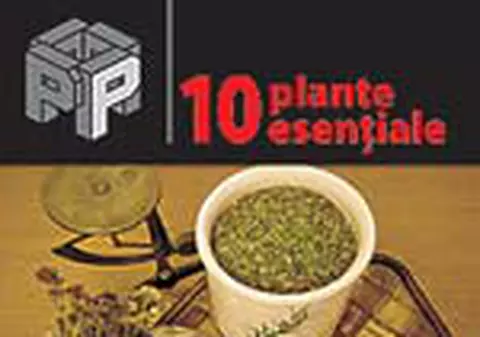 Zece plante esentiale
