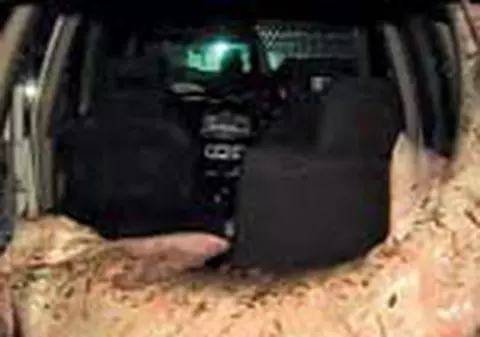 Un morun de 160 kg a lasat 'mostenire' 18 kg de icre negre