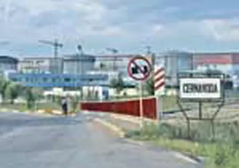 Gripa aviara 'ataca' centrala nucleara