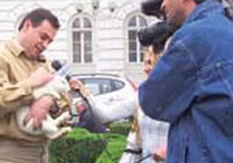 Iepurasi paziti de doi gardieni publici