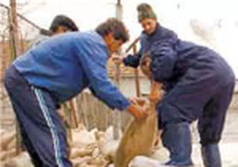 Zece judete sunt grav afectate de inundatii