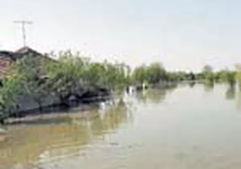 15.000 de romani sub cerul liber