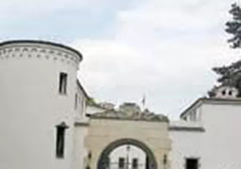 Sepepistul s-a impuscat de dorul fostei neveste