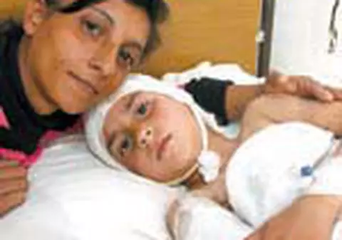 Fetita sfasiata va recunoaste cei noua caini dupa fotografii