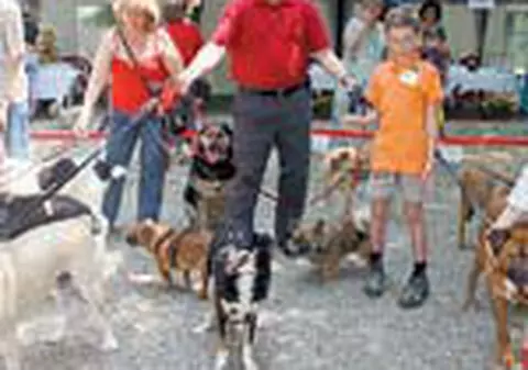 Primarul Ontanu a premiat maidanezii din sectorul 2