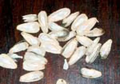 Au decojit doua kilograme de seminte cautand drogul