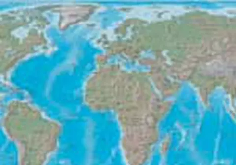 Becali mulge oi in Bucovina