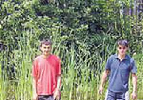 Dunarea a inundat iar