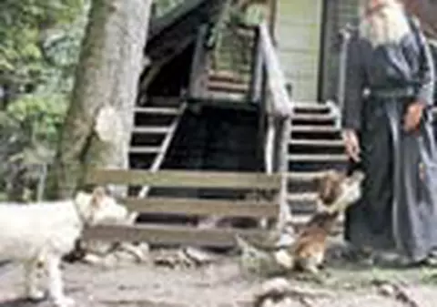 De zece ani traieste izolat in munti, la 1.700 de metri