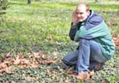 Capitala, cuib imposibil pentru pasari