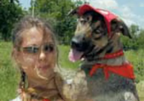 Legi pe care Primaria le-a dat degeaba