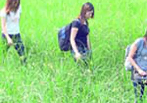 Chinezoaicele treceau prin Romania intr-o caruta