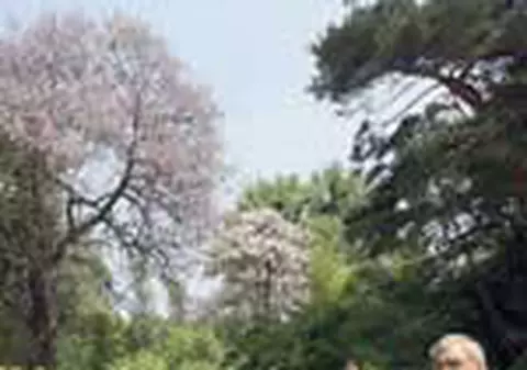 Copaci 'minune' la Gradina Botanica